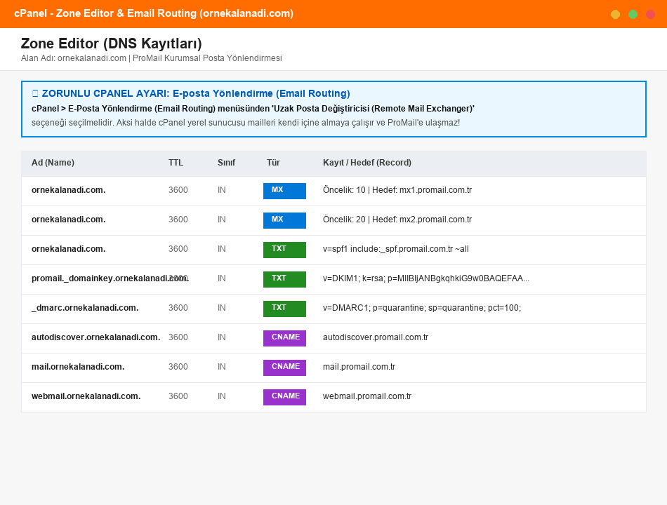cPanel Zone Editor ve DNS Kayıtları