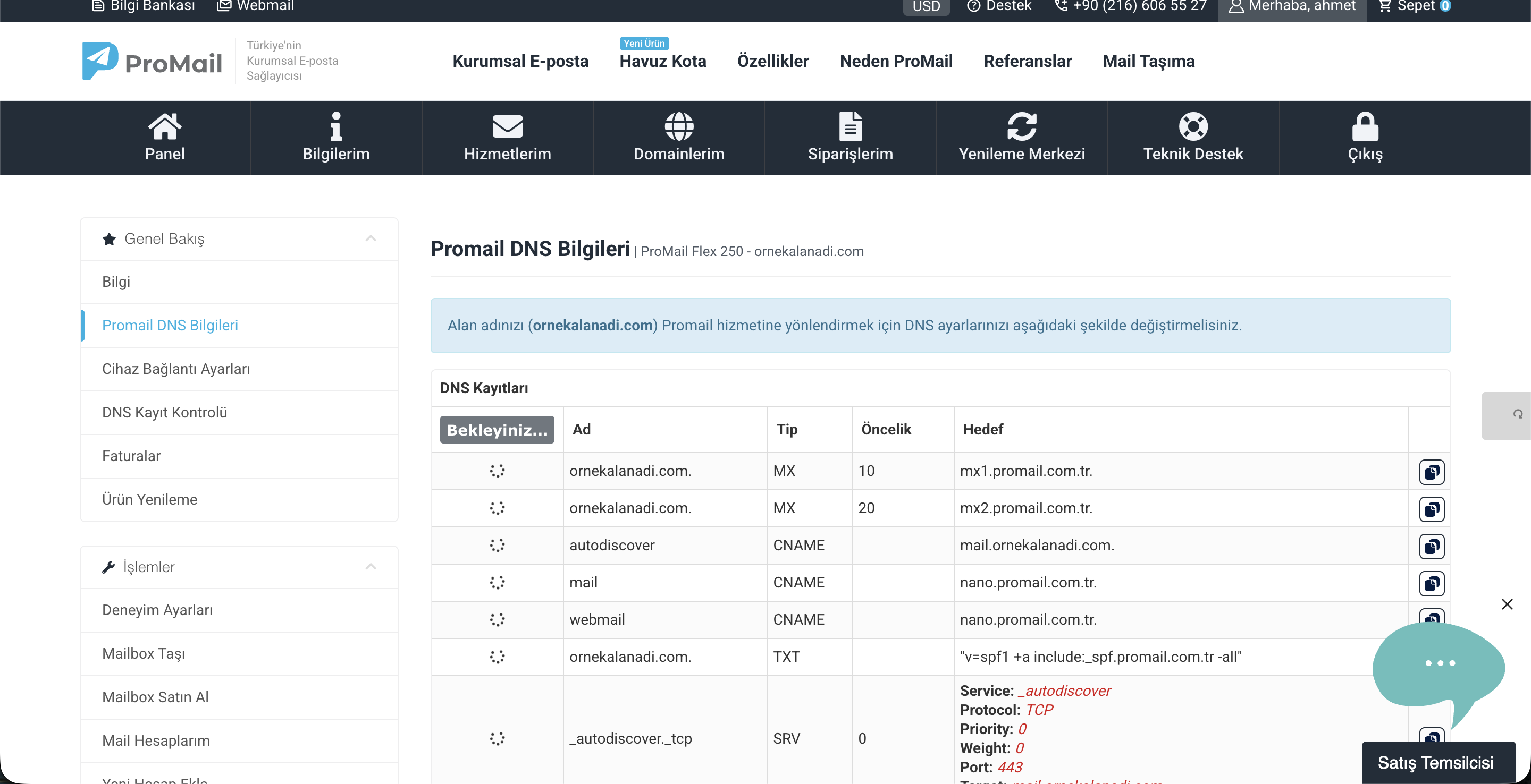 ProMail Müşteri Paneli DNS Bilgileri Ekranı
