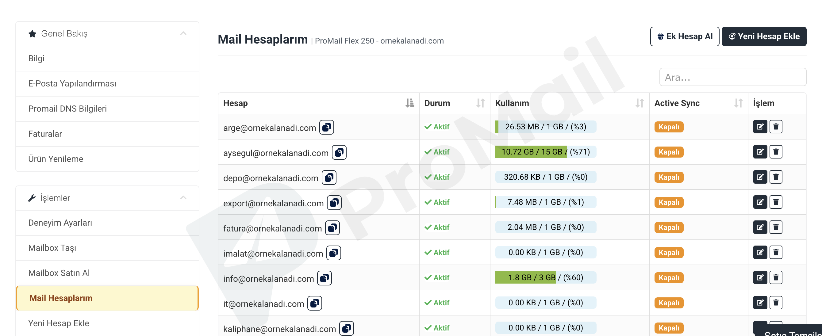ProMail Müşteri Paneli E-Posta Yönetimi